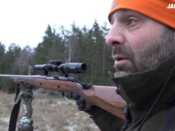 Jakt Är Jakt - Vildsvinsjakt I Skärgården