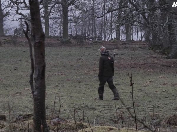 Jakt Är Jakt - Pyrschjakt & Best Pro Hunting Video 2018