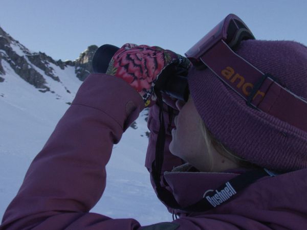 Best of Collection - World of Freesports / Snow Sports - WOF 202052: Winter Games Obsidian - Freeride