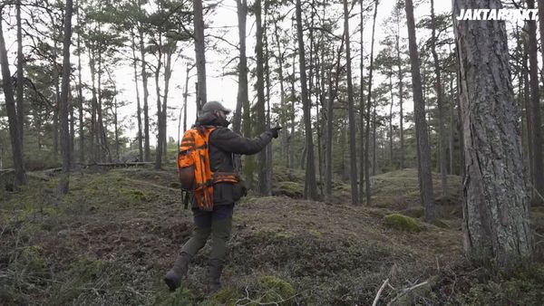 Jakt Är Jakt - Drevjakt På Ringsö