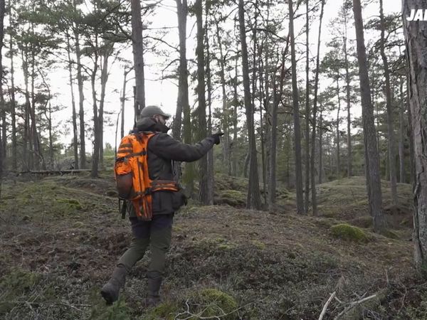 Jakt Är Jakt - Drevjakt På Ringsö