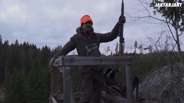 Jakt Är Jakt - Två Dagars Drevjakt
