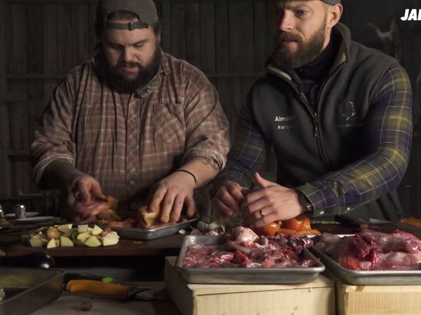 Jakt Är Jakt - Rabbisjakt & Jakten på den gamla skovelhjorten