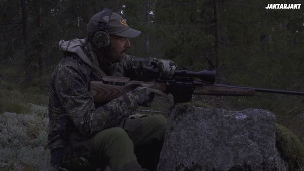 Jakt Är Jakt - Spännande Jakt På Viltrika Marker