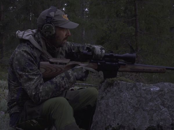 Jakt Är Jakt - Spännande Jakt På Viltrika Marker