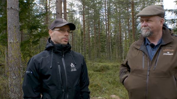 Jakt Är Jakt - Viltsamverkan I Brandens Spår
