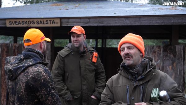 Jakt Är Jakt - Hageljakt På Rådjur Med Drever