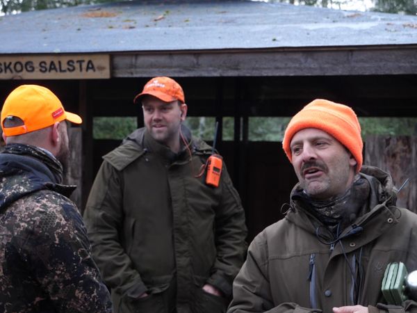 Jakt Är Jakt - Hageljakt På Rådjur Med Drever