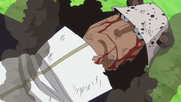 One Piece - A SURPRISING FACT! THE MAN WHO GUARDED THE SUNNY!