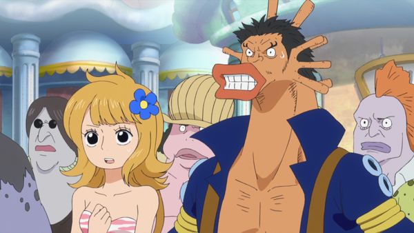 One Piece - A HERO WHO FREED THE SLAVES! AN ADVENTURER TIGER!