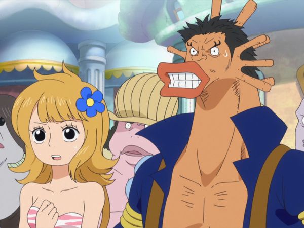 One Piece - A HERO WHO FREED THE SLAVES! AN ADVENTURER TIGER!