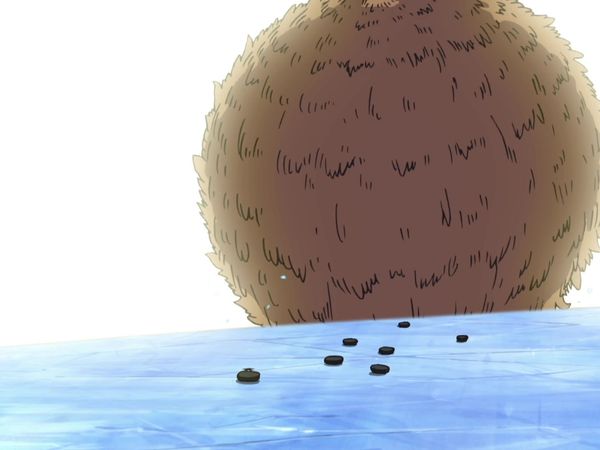 One Piece - The Return of the Phoenix! The Dream of the Pirate Flag Sworn to a Friend!