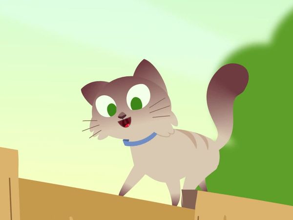 Earth to Luna - A Cat's Whisker's / Up, Up, and Away