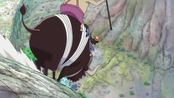 One Piece - A Shocking Confession! Law's Soulful Vow!