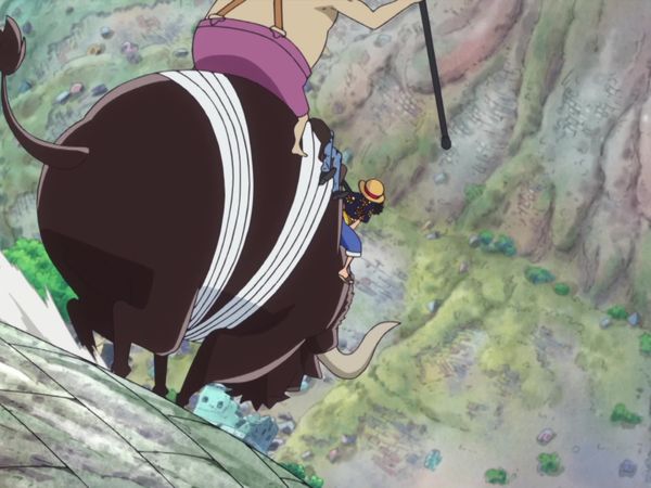 One Piece - A Shocking Confession! Law's Soulful Vow!
