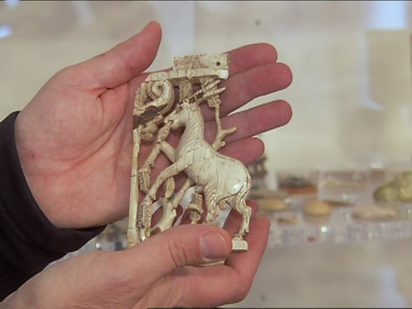 The Naked Archaeologist - The Collector