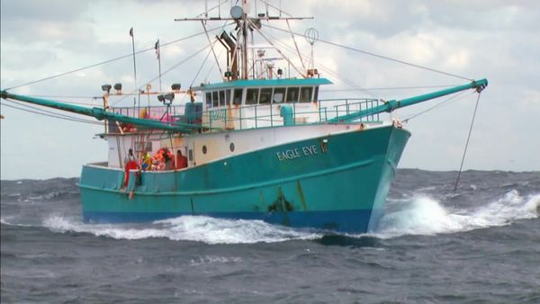 Swords: Life On The Line - Grand Banks or Bust