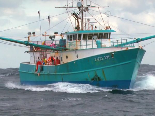 Swords: Life On The Line - Grand Banks or Bust