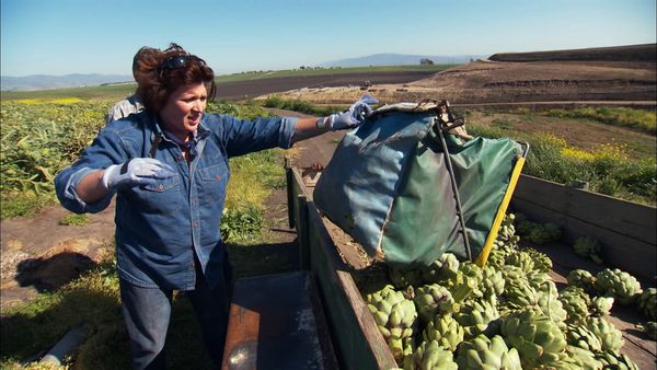 Pitchin' In - Artichokes