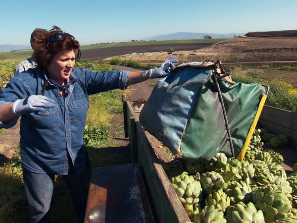 Pitchin' In - Artichokes