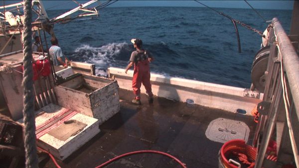 Swords: Life On The Line - What it Takes to be a Fisherman