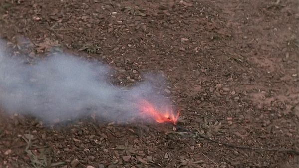 Relic Hunter - Sydney's løn