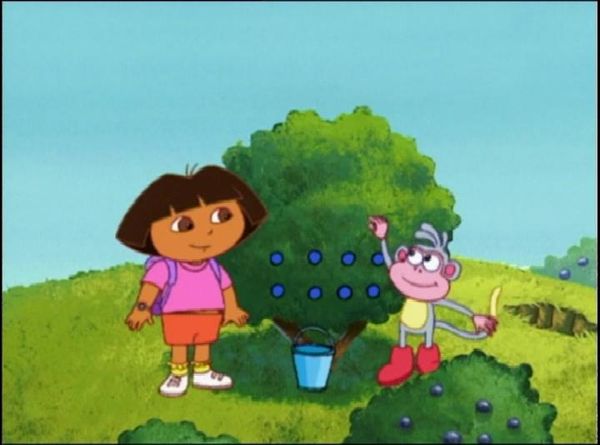 Dora l'exploratrice - La cueillette des myrtilles