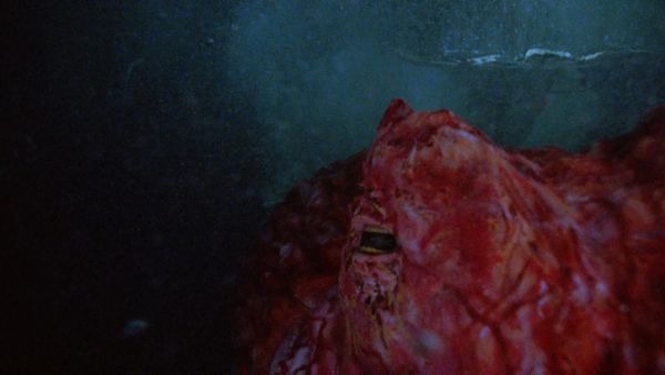 Baywatch - Tentacles, Part 1