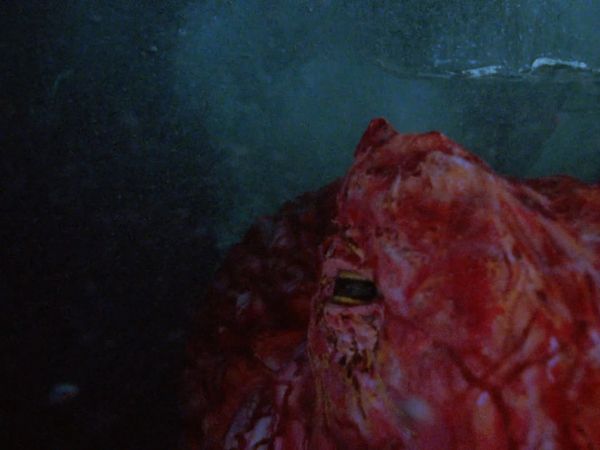 Baywatch - Tentacles, Part 1
