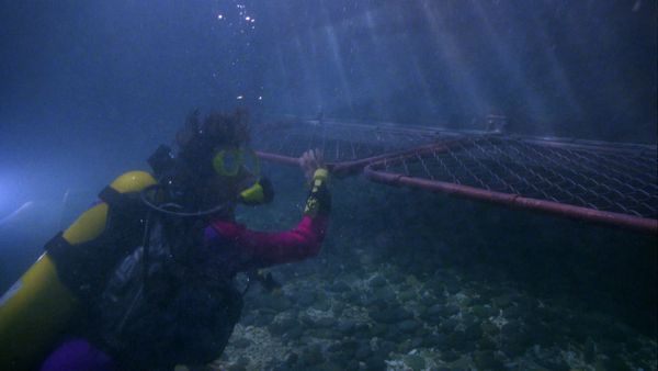 Baywatch - Trapped Beneath the Sea, Part 2