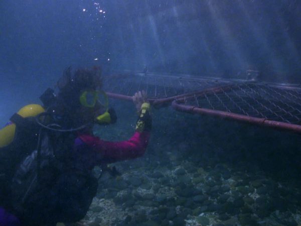 Baywatch - Trapped Beneath the Sea, Part 2
