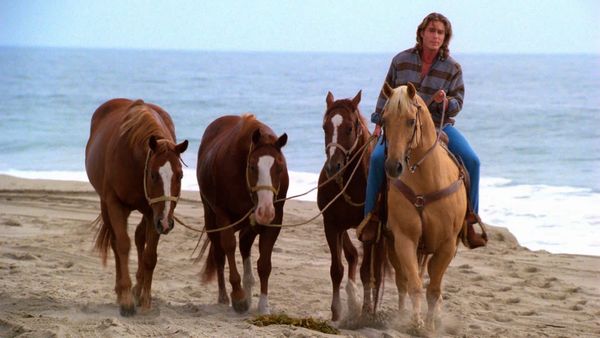 Baywatch - Desperate Encounter