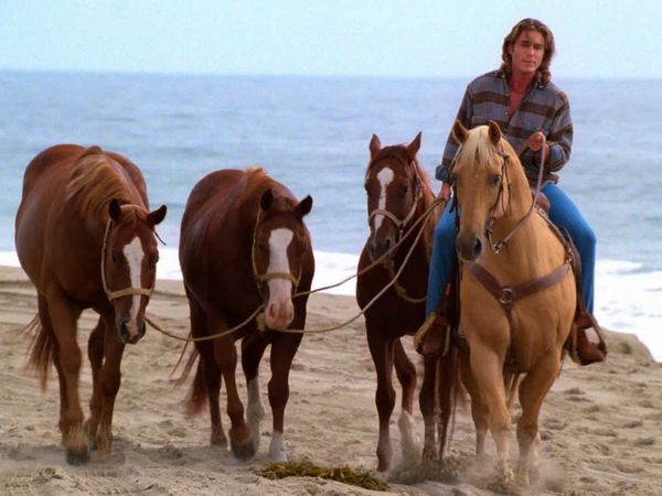 Baywatch - Desperate Encounter