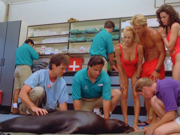 Baywatch - Baywatch at Sea World