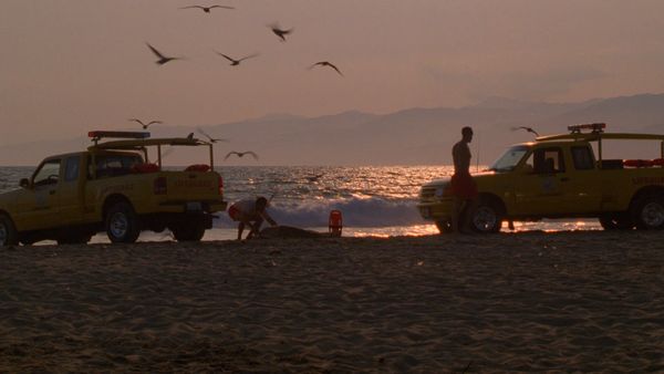 Baywatch - Drop Zone
