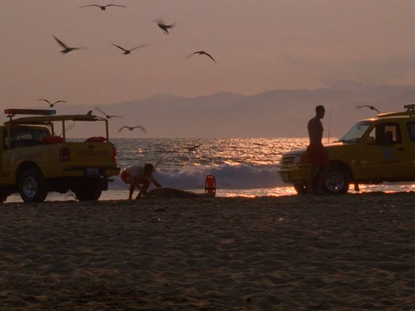 Baywatch - Drop Zone