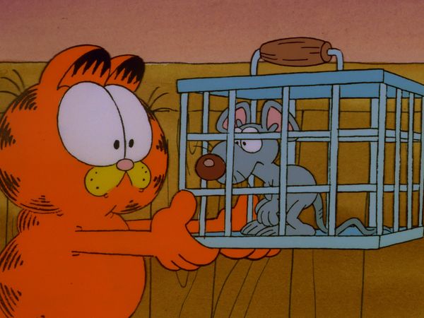 Garfield & Friends - Garfield and Friends
