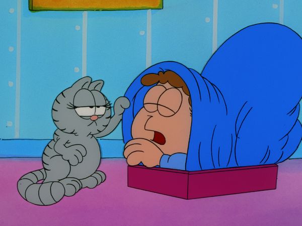 Garfield & Friends - Garfield and Friends