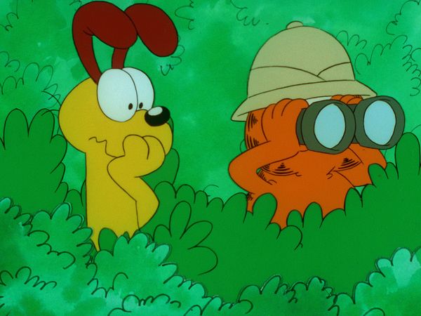 Garfield & Friends - Garfield and Friends