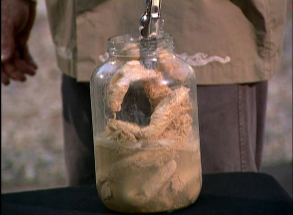 Fear Factor - Season 2 Clip Show