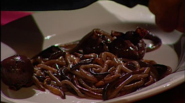 Fear Factor - Roof To Roof/Blood Meatballs/Submerged Fuselage
