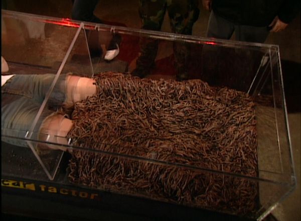 Fear Factor - Window Walk/Coffin of Creatures/Submerged Cage Escape