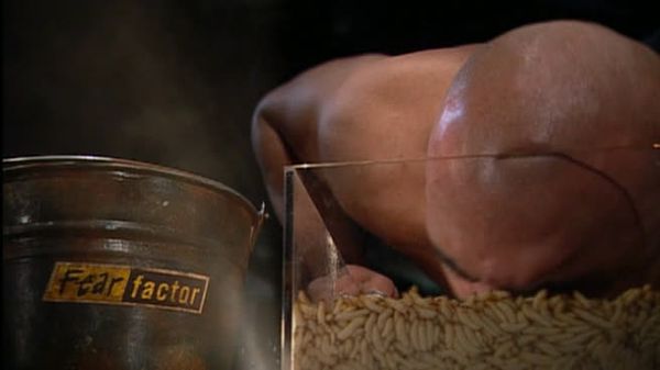Fear Factor - Blimp Ladder Climb/Bobbing for Chicken Feet In A Barrel of Warxworms/Car Rollover