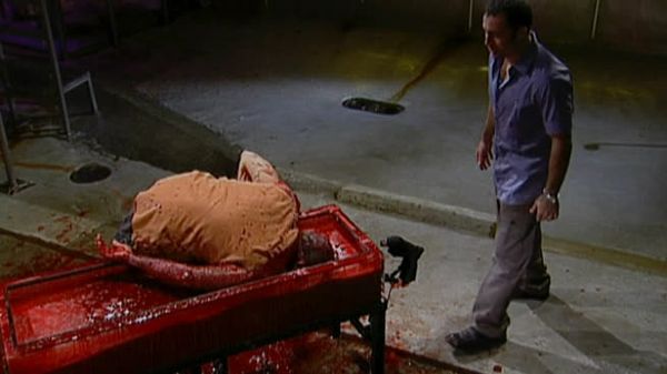 Fear Factor - Bobbing in Blood; Tomato Hornworms; Skunk Tunnel
