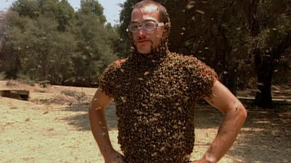 Fear Factor - A Traverse The Dam,Bee Headed,Water Coffin