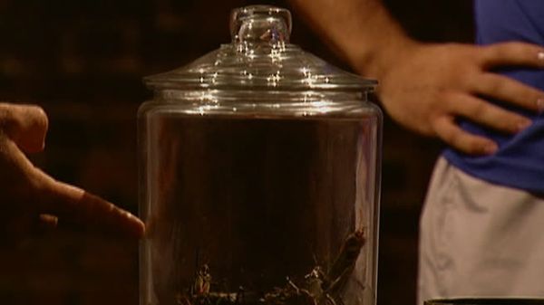 Fear Factor - Helicopter Flag Snag, Fondue Party, Eel Hang, Two Wheel Truck Ramp