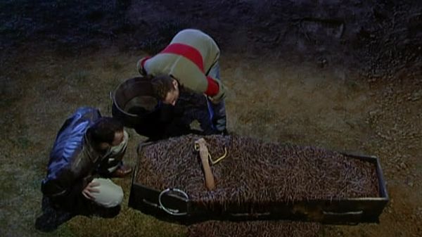 Fear Factor - Flatbed to Flatbed; Worm Coffin; Tumbler