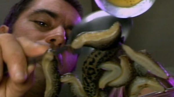 Fear Factor - Helicopter Flag Snag; Slugs; Build A Bridge