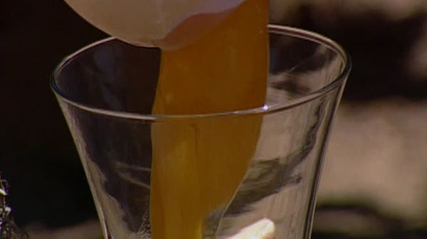 Fear Factor - Drowning Closet,Ostrich Eggs,Merry Go Round