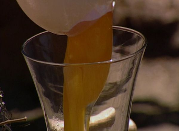 Fear Factor - Drowning Closet,Ostrich Eggs,Merry Go Round